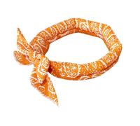 Dog Cooling Bandana - Versatile Instant Absorbent Breathable Collar