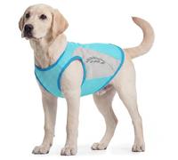 Dog Cooling Coat, Comfortable Cool Coat Reflective Puppy Cooling Vest Ice Outdoor Jacket Anti-Heat, Keep Pet Cool During The Hot Weather(Green, 8XL)