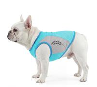 Dog Cooling Coat, Comfortable Cool Coat Reflective Puppy Cooling Vest Ice Outdoor Jacket Anti-Heat, Keep Pet Cool During The Hot Weather(Green, 2XL)