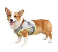 Dog Cooling Harness Vest Adjustable Breathable Mesh Pet Summer Cooler Jacket for Hot Weather Walking with Quick-Release Buckle