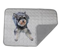 Dog cooling mat 4 times the effect,Outdoor pet cooling bed,washable ice silk self-coolings pad,comfortable self-coolings blanket,pet bed,sleeping pad, cat and dog kennels,cage (Light gray, 50 * 40cm)