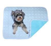 Dog cooling mat 4 times the effect,Outdoor pet cooling bed,washable ice silk self-coolings pad,comfortable self-coolings blanket,pet bed,sleeping pad, cat and dog kennels,cage (Light blue, 40 * 30cm)