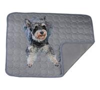 Dog cooling mat 4 times the effect,Outdoor pet cooling bed,washable ice silk self-coolings pad,comfortable self-coolings blanket,pet bed,sleeping pad, cat and dog kennels,cage (Dark gray, 70 * 55cm)
