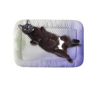 Dog Cooling Mat, Cat Cooling Pad, Portable Pet Bed Crate Mat, Breathable Summer Reliefs Cushion, NonToxic Soft Sleeping Pads Ideal for Puppies, Hamsters, Travel, Indoor, Kitchen Use, 6cm Multicolor