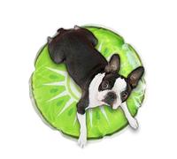 Dog Cooling Mat,Cute Water Sensory Pad for Puppy - Fruit Pattern Travel Round Ice Water Cooling Cushion for Dogs and Cats