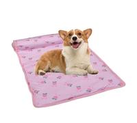 Dog Cooling Mat, Dog Cooling Mat | Foldable Soft Ice Silk Cat Cooling Mat, Cute Kitten Ice Pad Cushion with Pillow, Store Cool Sleeping Pad for Indoor Pets