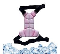 Dog Cooling Vest, Adjustable Strap Animals Apparel, 19x15 cm Device with Secure Grip, Gel Vest Gear with Quick Setup, Household Supply Accessory for Puppy Kitten Strolling Walking Adventure and Hiking