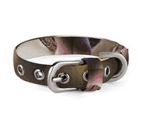 Dog Corgi Dog Collar Adjustable Soft and Comfortable Puppy Collars with Metal Buckle Pet Collar for Small Medium Pet