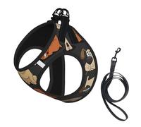 Dog Corgi Print Harness Leash Set For Cats And Dogs, Reflective Adjustable, Soft Breathable Mesh Vest With Escape-Proof Lead, For Small Pets And Kitten Puppies