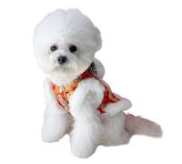 Dog Costume Chinese New Year Warm Soft Lion Dance
