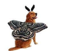 Dog Costumes with Headband Pet Wing Decorations | Dog Costume Moth Wing for Party Cat Birthday Holiday Puppy Large Medium Small Breed