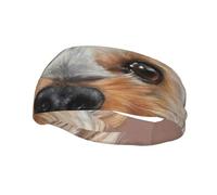Dog Cute Yorkshire Terrier TeacupHair Bands for Men Woman Headband Running Headband Sweat Wicking Gym