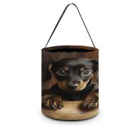 Dog Dachshund Printing Candy Basket Halloween Trick Or Treat Bags Gift Bucket For Halloween Party Or Daily Supplies, Style, One Size