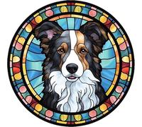 Dog Design Suncatcher, loads of variations and dog breeds, Indoors or Outdoors use, Gift for dog lovers. 14.5cm across (Border Collie)