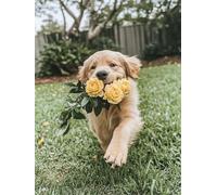 Dog Diamond Art Kits Adults, Flower 5D DIY Round Diamond Painting Kits for Kids, Full Drill Gem Art for Beginners, Perfect for Home Wall Decoration, Relaxation Activity & Unique Gifts 80x110cm f-101