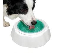 Dog Dish | Splash Proof Detachable Cooling - Cooling Water Dish for Dogs | for Puppy Small Medium Large Breed Indoor Outdoor Summer Travel Camping Feeding Walking