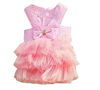 Dog Dresses Wedding Lace Dress for Pomeranian Chihuahua Small Breed Dogs Bowknot Mesh Vest Pet Tutu Skirt Dogs Birthday Party Puppy Clothes Princess Outfits