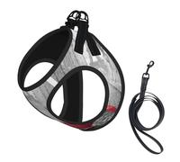 Dog Eiffel Tower Paris Street Red Umbrella Printed Harness And Leash Set,Adjustable,Breathable Soft,Step-In Mesh Pet Vest Harness With Reflective Strip