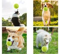 Dog Elastic Tennis Grinding Teeth Bite-resistant Pet Training Ball Dog Bite-relieving Toy Pet Sound Small Toy (green)
