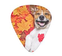 Dog Fall Maple Leaves Guitar Picks 12 Pcs Classical Triangle Guitar Plectrums Includes Thin, Medium & Heavy Gauges 3 Sizes for Bass Electric Acoustic Guitars Ukulele with Organizer Storage Box