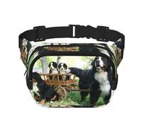 Dog Family Square Double Layer Waist Bag Belt Fanny Pack Purse with Adjustable Strap, Running, Travel, Hiking