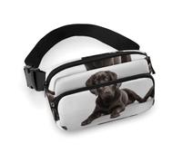 Dog Fanny Pack for Women Men Waist Bag Belt Bag Adjustable Casual Bag for Travel Sports Hiking, white, 7.9x5.1inches