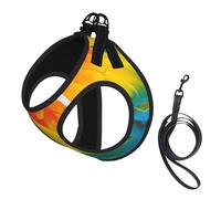 Dog Fantastic Parrot Feather Printed Harness And Leash Set,Adjustable,Breathable Soft,Step-In Mesh Pet Vest Harness With Reflective Strip