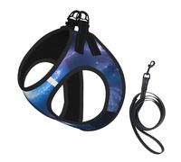 Dog Fantasy Space Printed Harness And Leash Set,Adjustable,Breathable Soft,Step-In Mesh Pet Vest Harness With Reflective Strip