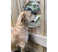 Dog Fence Window, Acrylic Dome Window Clear Bubble Peek Window, Dog Playground Window Pet Bubble Window, Doggie Fence Window Relieves Stress