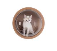 Dog Fence Window Dome,Anti Anxiety Pet Windows, 32cm Transparent Cat Nest DIY For Fence Pet Look Out Durable Dome Acrylic Sheet GlassHemispherical Window GIFT(2pc-black washers)