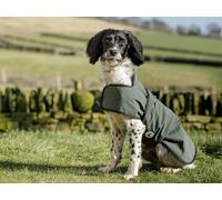 Dog & Field 2-in-1 Waterproof Dog Coat - Green. Microfiber Lined Dog Drying Coat, Winter Dog Raincoat. Waterproof Coat For Dogs, Warm Waterproof Jacket For Dogs, Machine Washable - L