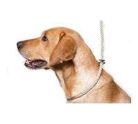 Dog & Field Deluxe Gundog Slip Lead - Natural Brown. Soft Spliced Mari