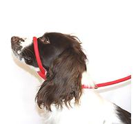 Dog & Field Figure 8 Anti Pull Lead/Halter/Head Collar - One Size Fits All - Soft Braided Nylon - Comfortable, Supple, Secure and Proven to Make Your Walks More Enjoyable - No More Pulling! (Red)
