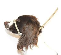 Dog & Field Figure of 8 Dog Lead, Anti Pull Rope Dog Lead, Head Collar & Halter Lead, Soft Braided Cotton Rope No Pull Dog Training Lead, 200cm x 10mm (Natural)