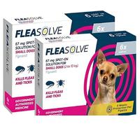 Dog Flea Treatment Small Dog x 12 - Spot on Flea Treatment for Dogs Small 2-10kg - FleaSolve Flea & Tick Solution - 12 x Pipettes - 12 - Doses