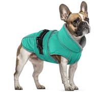 Dog Fleece Coat, Waterproof Cozy Small Dog Jacket for Cold Weather Winproof Winter Heated Coat Snow Jacket Toasty with Fleece Lining for Light Rain, Foggy Days, Wet Weather(Teal, S)