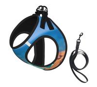 Dog Flip-Flops On A Sandy Beach Printed Harness And Leash Set,Adjustable,Breathable Soft,Step-In Mesh Pet Vest Harness With Reflective Strip