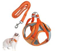 Dog for Small Dogs, Reflective Vest Harness for Cats, Adjustable Pet Leashes Set with Strips Comfortable Puppy Vest for Walking Outdoor Activities