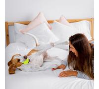 Dog Friendly Hotel Stays - Gift Experience