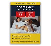 Dog Friendly Stays Gift Experience