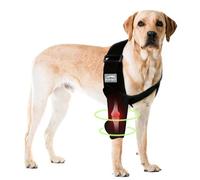 Dog Front Leg Brace for Elbow Dysplasia, Shoulder Dislocation, Hygroma, Pet Prevent Licking Wound Elbow Protector, Avoid Cone of Shame, Abrasion Resistant Dog Recovery Sleeve, M