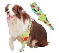Dog Front Leg Recovery Sleeve - Single Sleeve to Prevent Licking, Scratching & Biting Cone Collar Alternative for Surgery, Wound Care, ACL CCL, Joint Protection(Sweet Watermelon M)