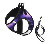 Dog Galaxy Space Art Printed Harness And Leash Set,Adjustable,Breathable Soft,Step-In Mesh Pet Vest Harness With Reflective Strip