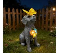 Dog Garden Statue Solar Butterfly, Dogs Figurines with Lantern Outdoor Patio Yard Decor Ideal Birthday Housewarming Gifts ,Dad Mom Grandma Dog Lovers, Beautifully Crafted Decorations to Wow Guests