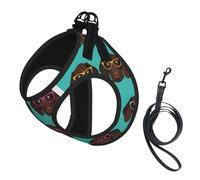 Dog German Shorthaired Pointer In Glasses Printed Harness And Leash Set,Adjustable,Breathable Soft,Step-In Mesh Pet Vest Harness With Reflective Strip