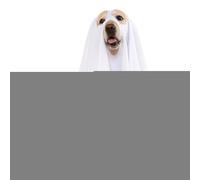 Dog Ghost Costume | Ghost Costumes for Dogs Cats | Pet Supplies Puppy Kitten Clothes for Trick or Treat Outfit Cats Outdoor Walk Party Photo Props