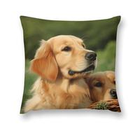 Dog Golden Retriever Pillow Covers, Square Throw Pillow Case with Hidden Zipper, Soft Double-Sided Decorative Pillowcases for Couch Sofa Bedroom Car, 18 "x18