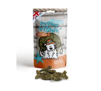 Dog Gone Fishin' White Fish with Turmeric Crunchies - 75g Healthy Treats (MSC3730)