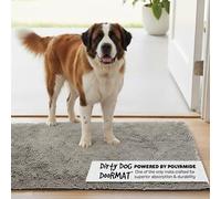 Dog Gone Smart Dirty Dog Doormat Runner - Super Absorbent Grey, 60x30 in | Polyamide Rug Pulls In Moisture & Dirt - Fast Drying for Clean Floors, Non-Slip, Machine Washable Mat for Muddy Paws