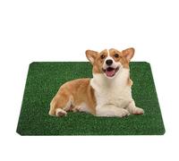 Dog Grass Mat, Washable Grass Mat for Pet Training and Easy to Clean, Indoor Pee Grass for Dog Potty, Dog Grass for Exte Use